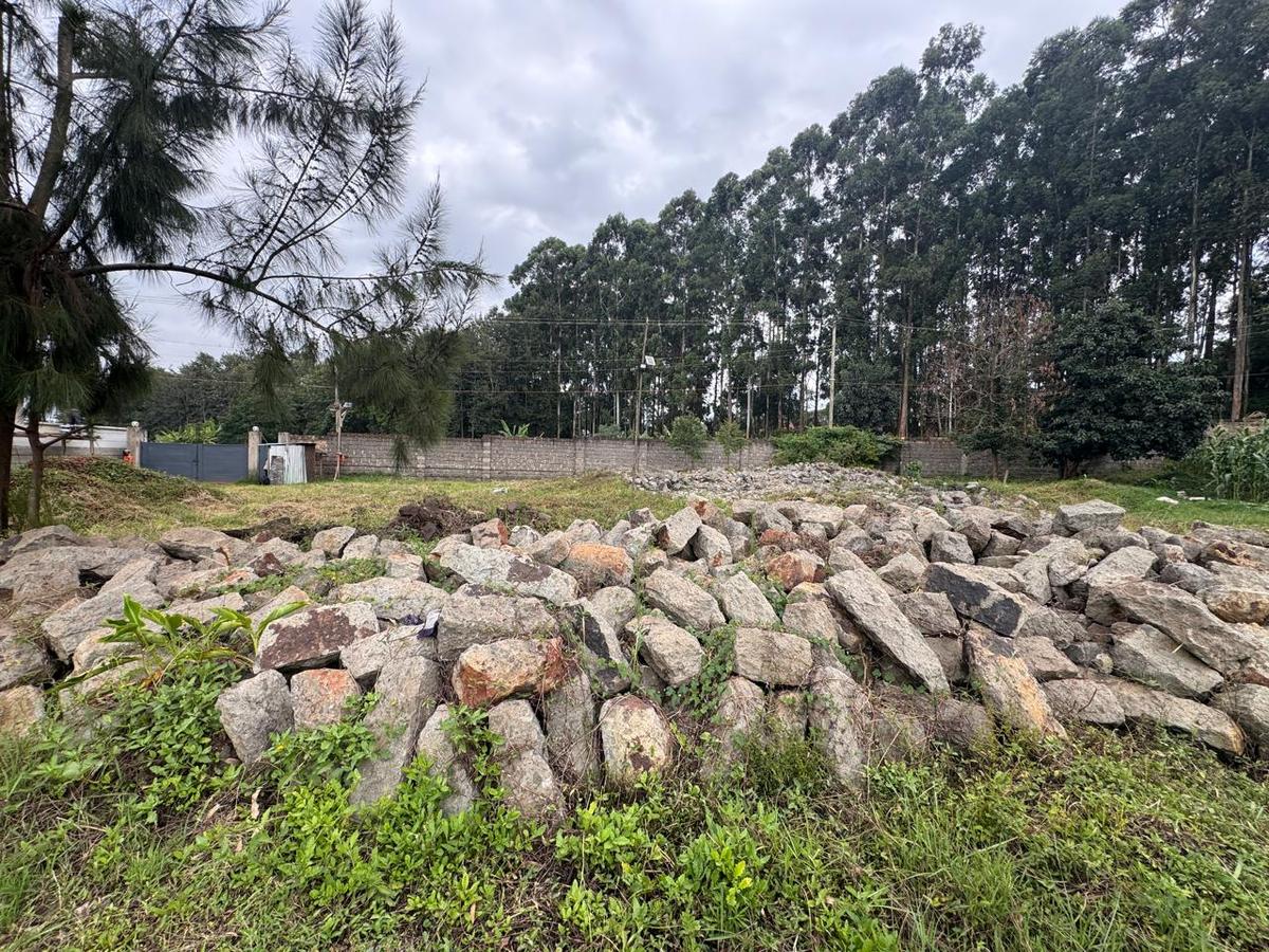 Land at Loresho - 4