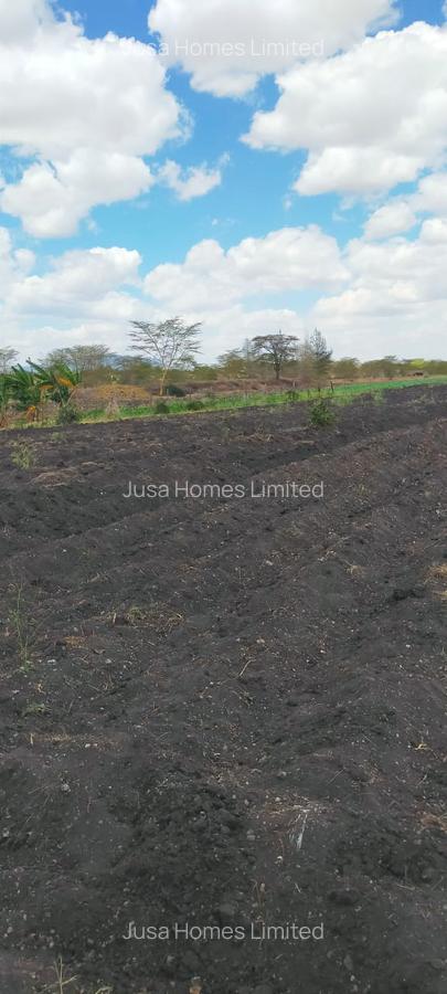 39 ac Land in Malaa - 9