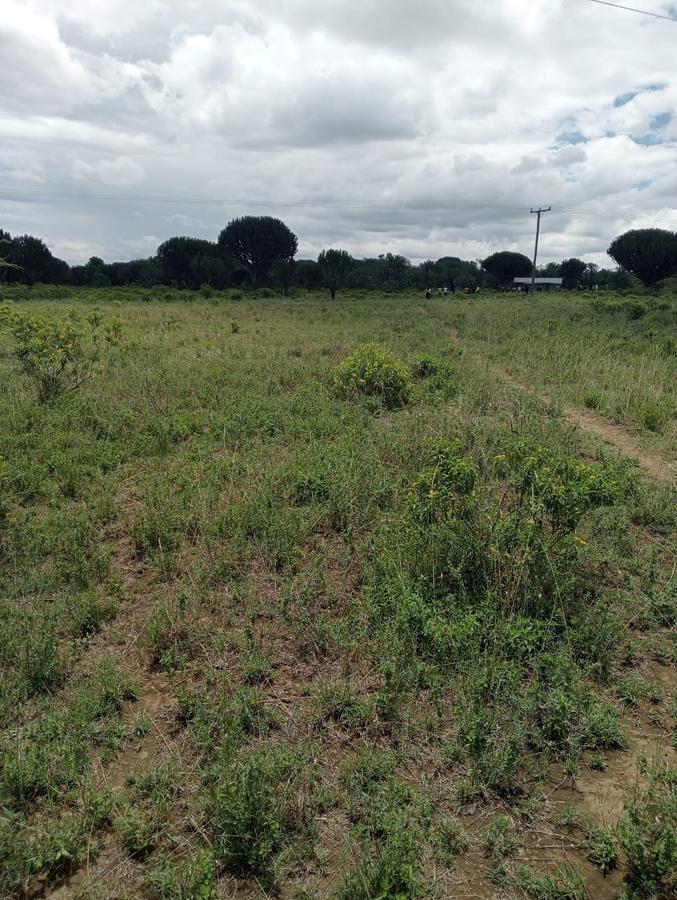 0.25 ac Commercial Land at Lake View - 12