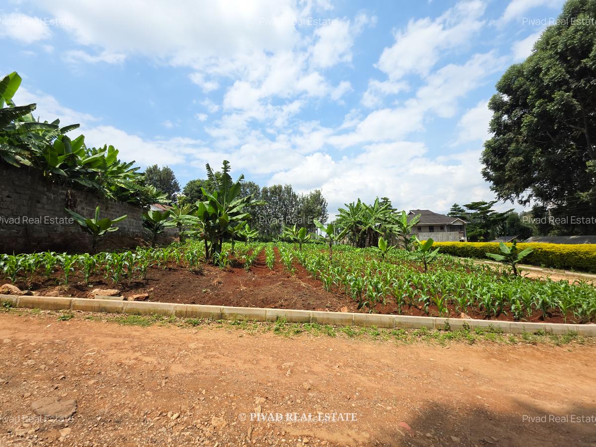 0.42 ac Land in Kiambu Road - 3