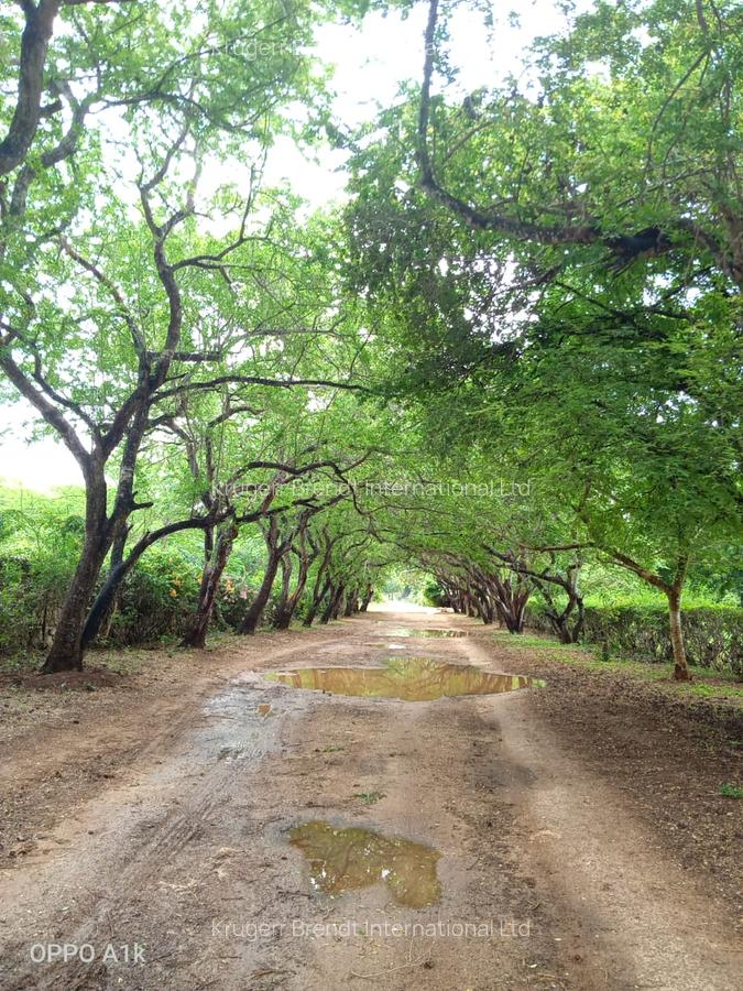 1 ac Land in Bofa - 1