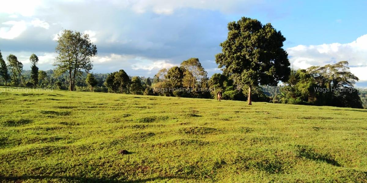 21 ac Land in Cianda - 5