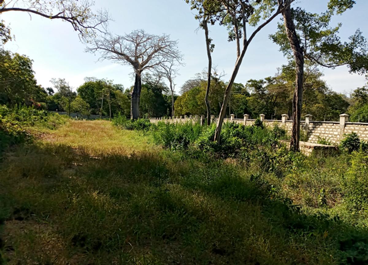 0.5 ac Land at Diani Beach Road - 1