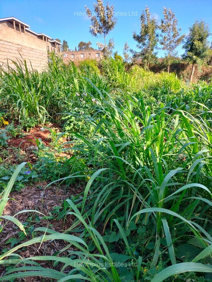 Commercial Land at Thogoto Area - 11