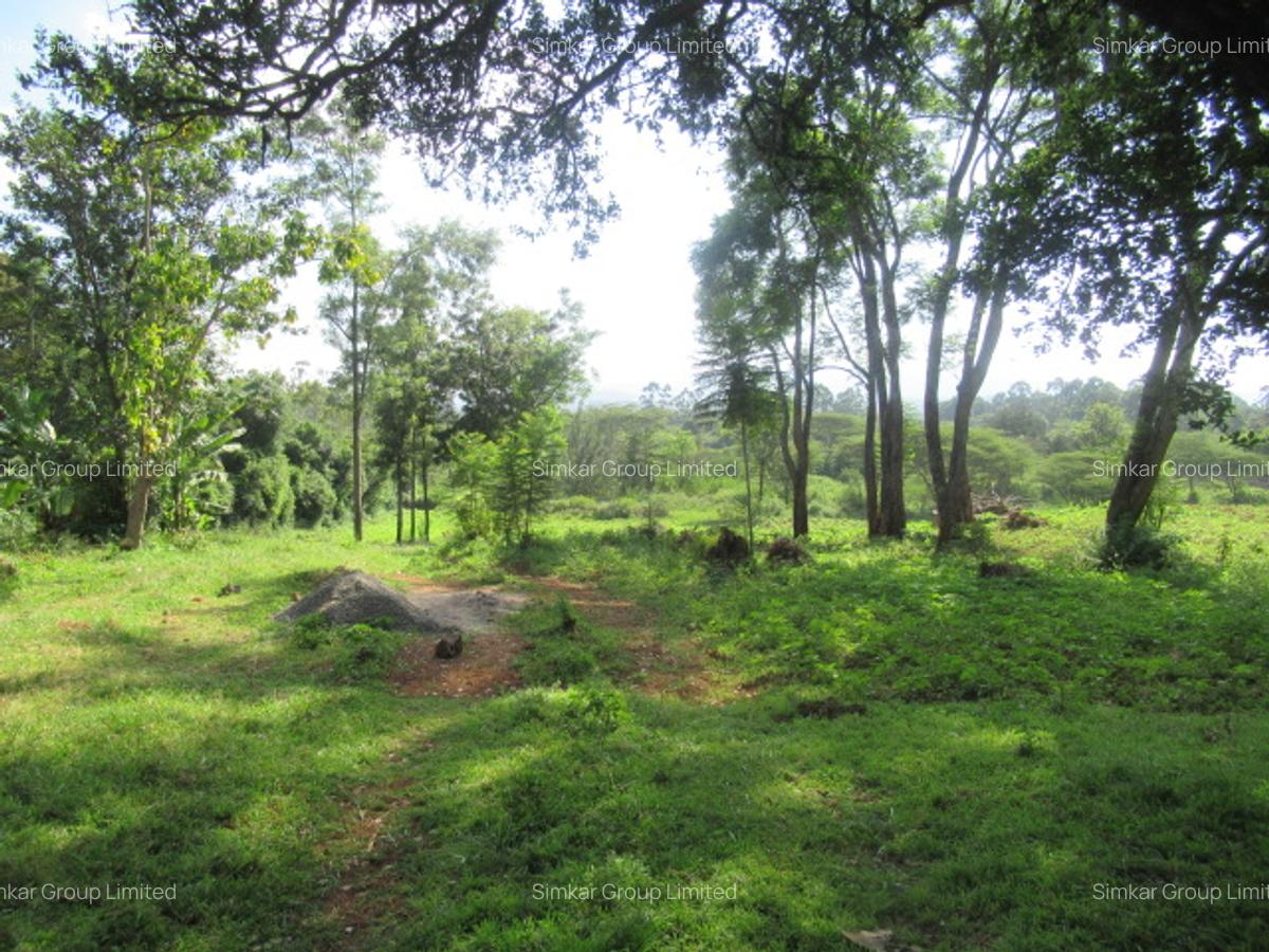 Residential Land at Ololua Ridge - 2