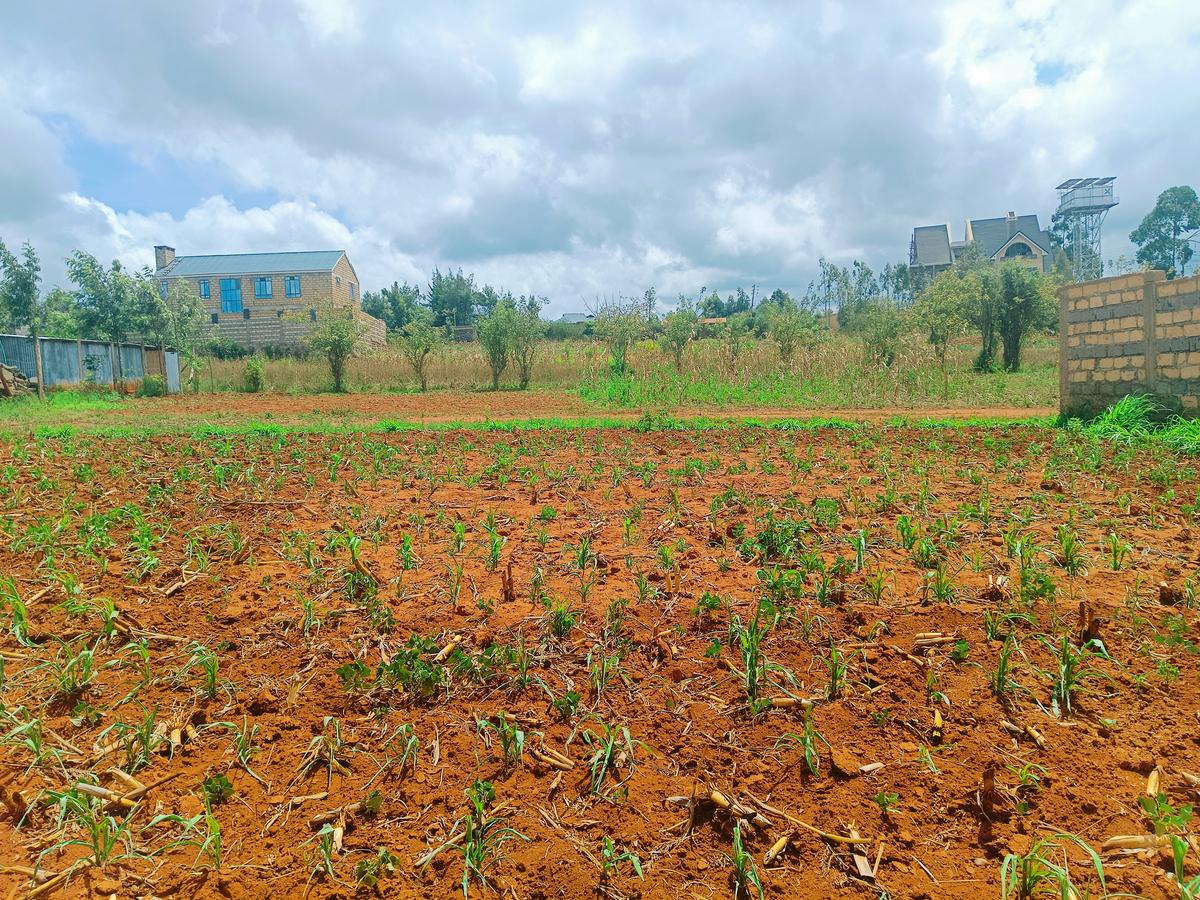 500 m² Residential Land at Nairobi Ndogo Estate - 8