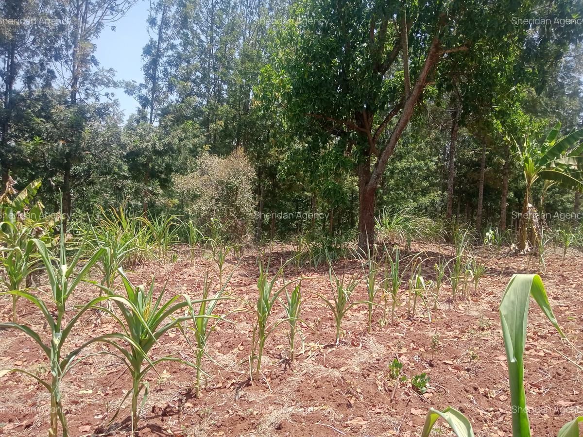 Land at Ololua Ridge - 3