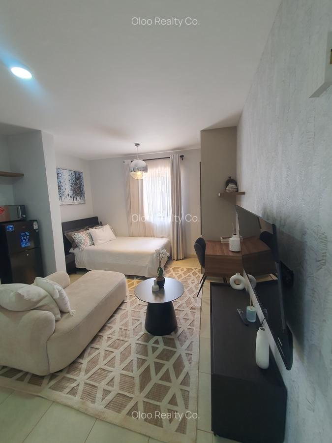 Studio Apartment with Swimming Pool at Naivasha Road - 4