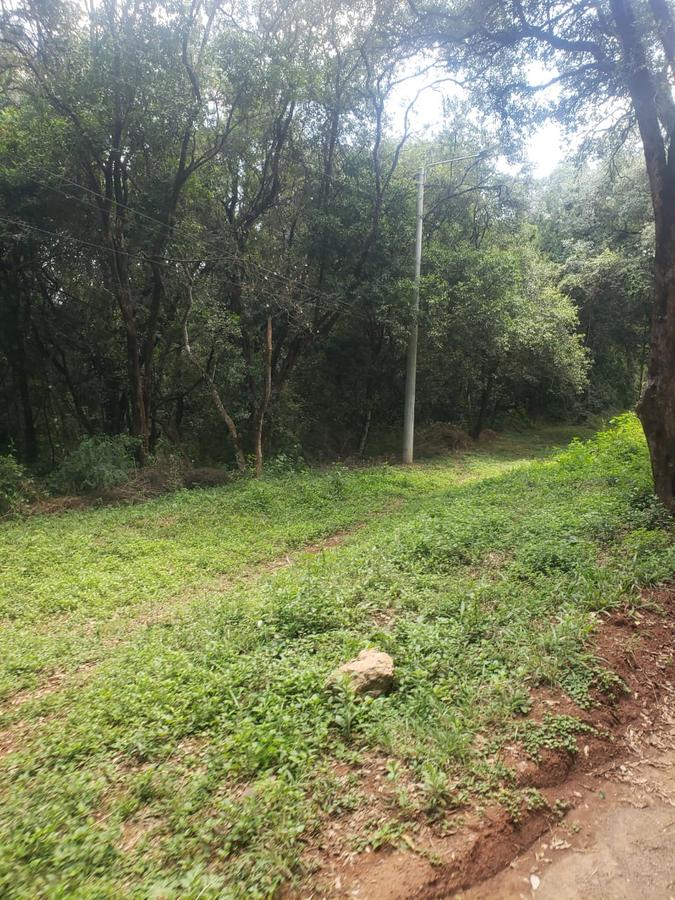 1.5 ac Land in Karen - 7