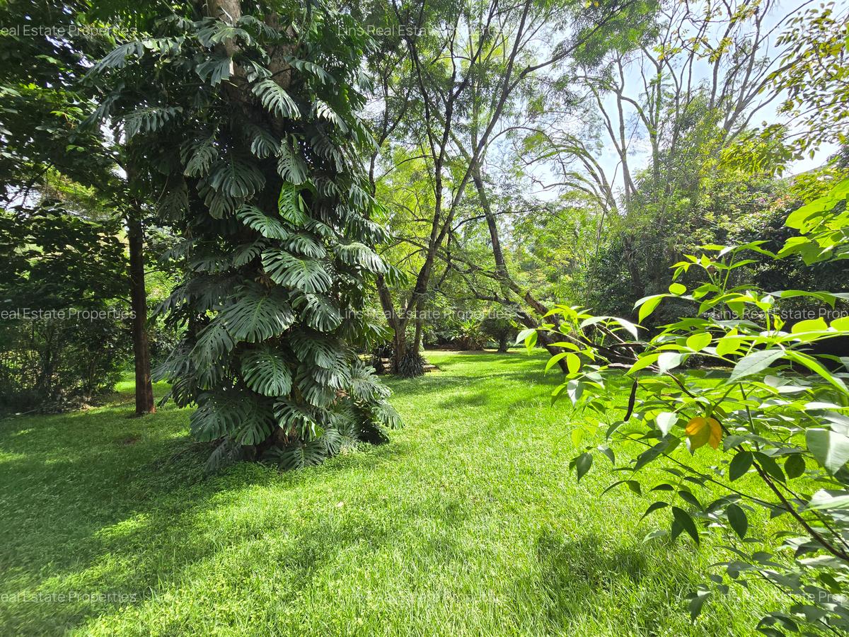 4 Bed House with En Suite in Runda - 6