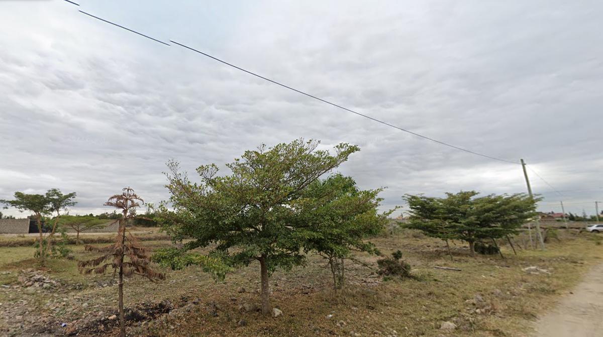 0.25 ac Residential Land at Katani Road - 1