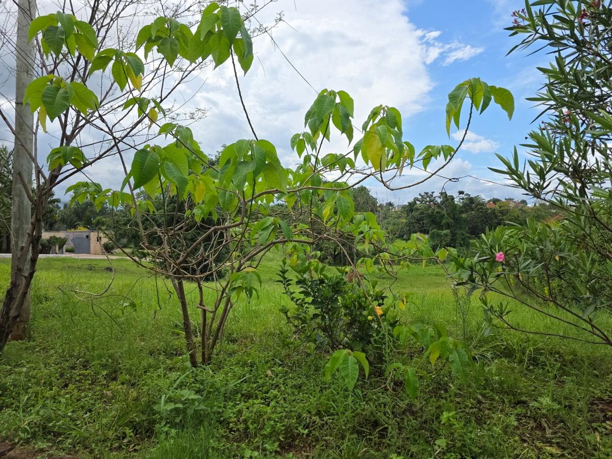 0.5 ac Land at Muthaiga North - 2