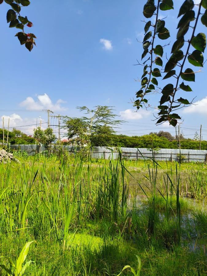 Residential Land at Karen - 12