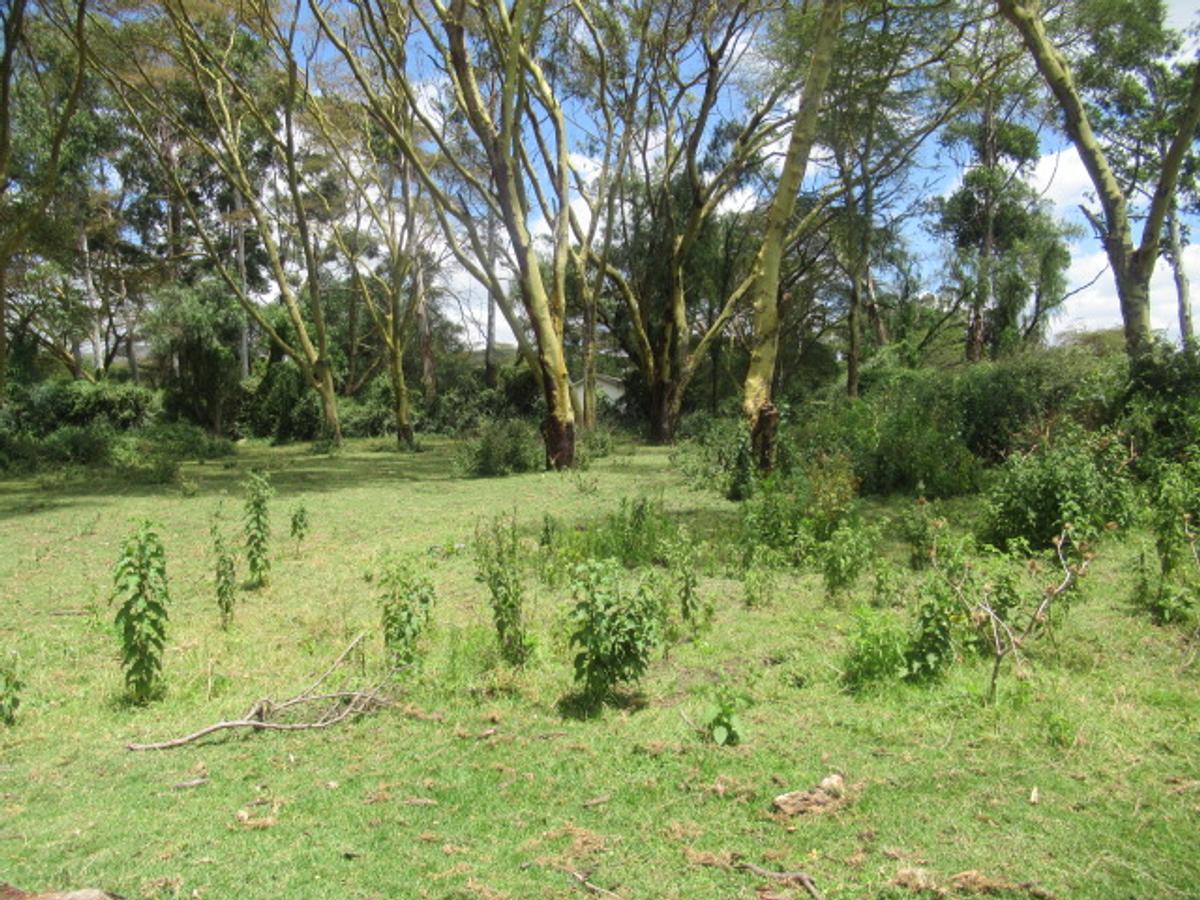 25 ac Land at Moi South Lake Rd - 2