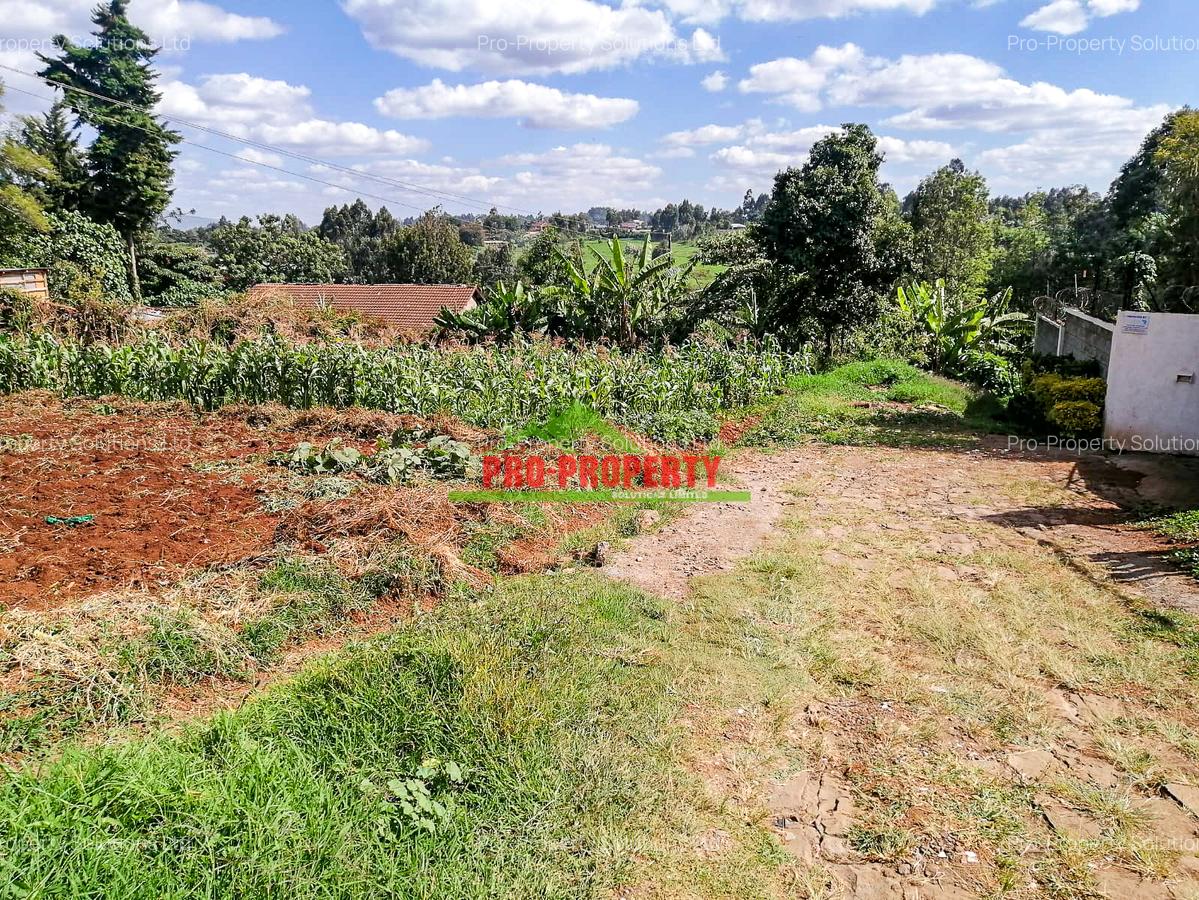 0.125 ac Commercial Land at Kikuyu - 5