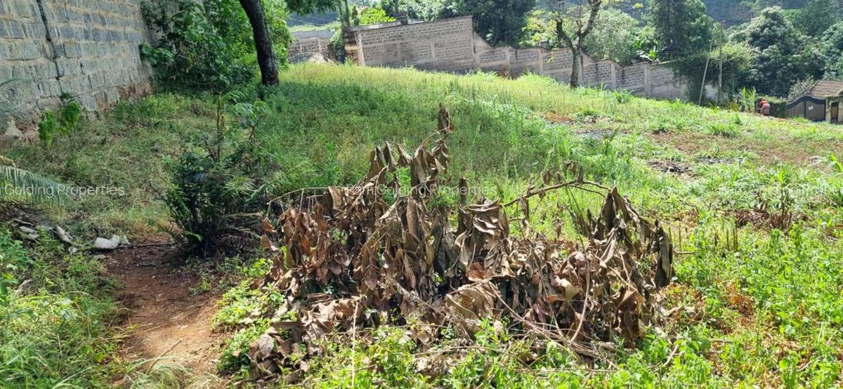0.5 ac Land at Kinanda Close - 7