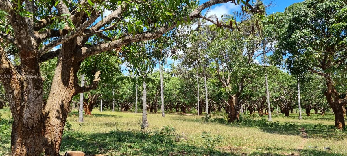 6 ac Land at Mtwapa - 11