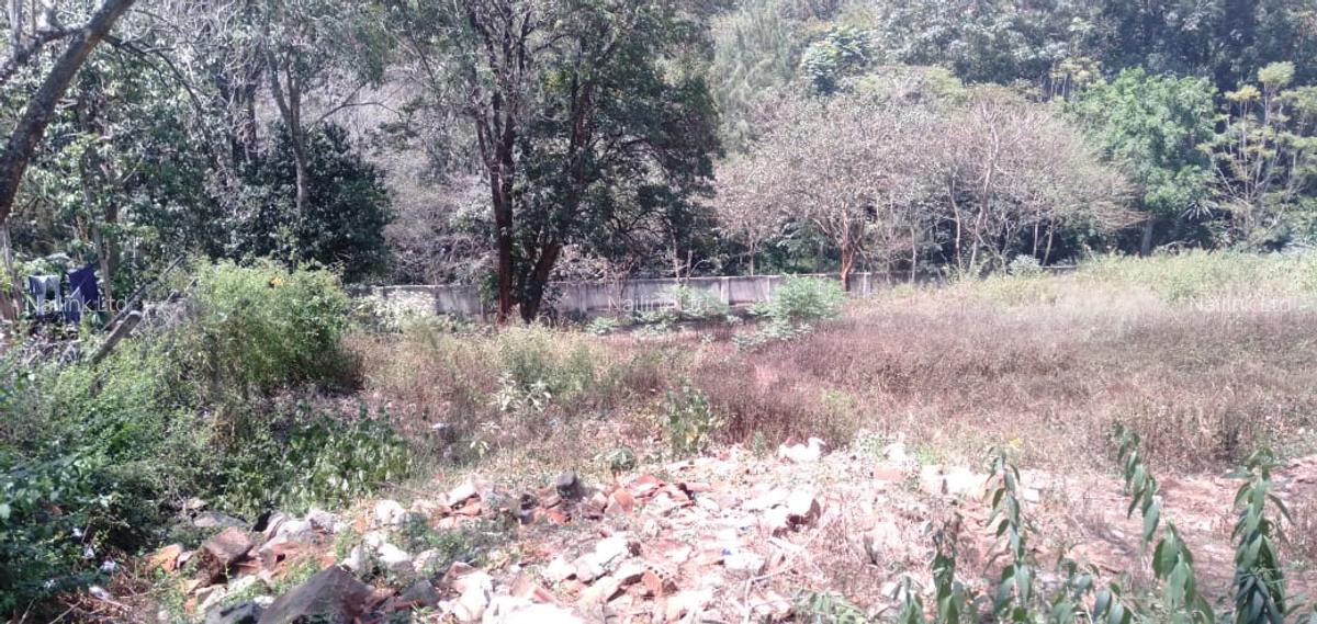 Residential Land at Off Muthaiga Road - 3