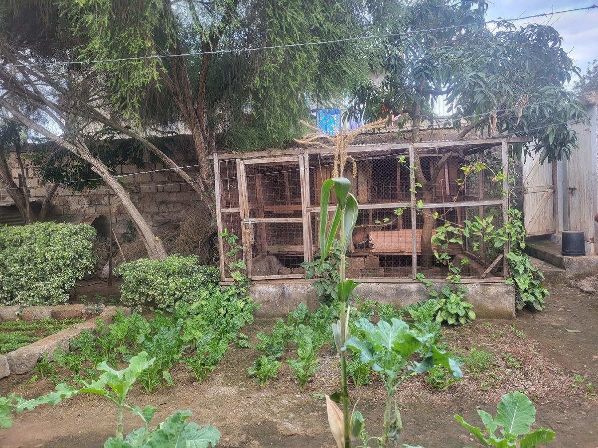 3 Bed House in Juja - 3