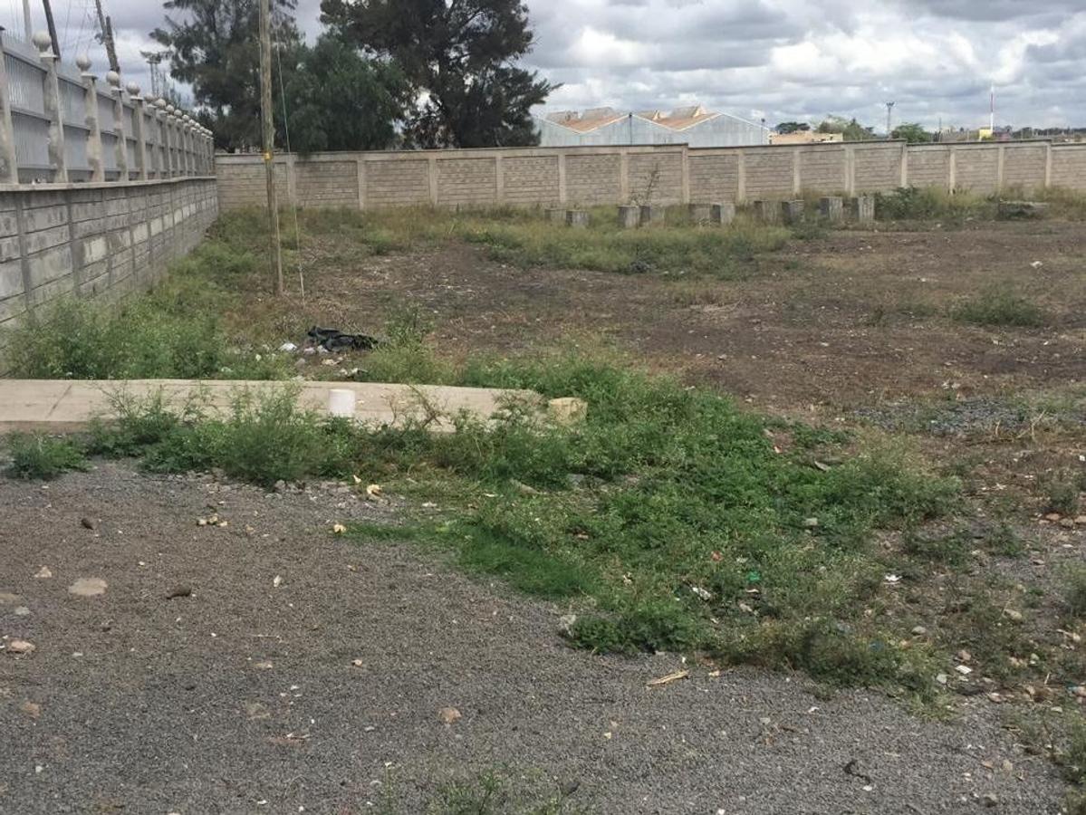 10.5 ac Land in Athi River - 4