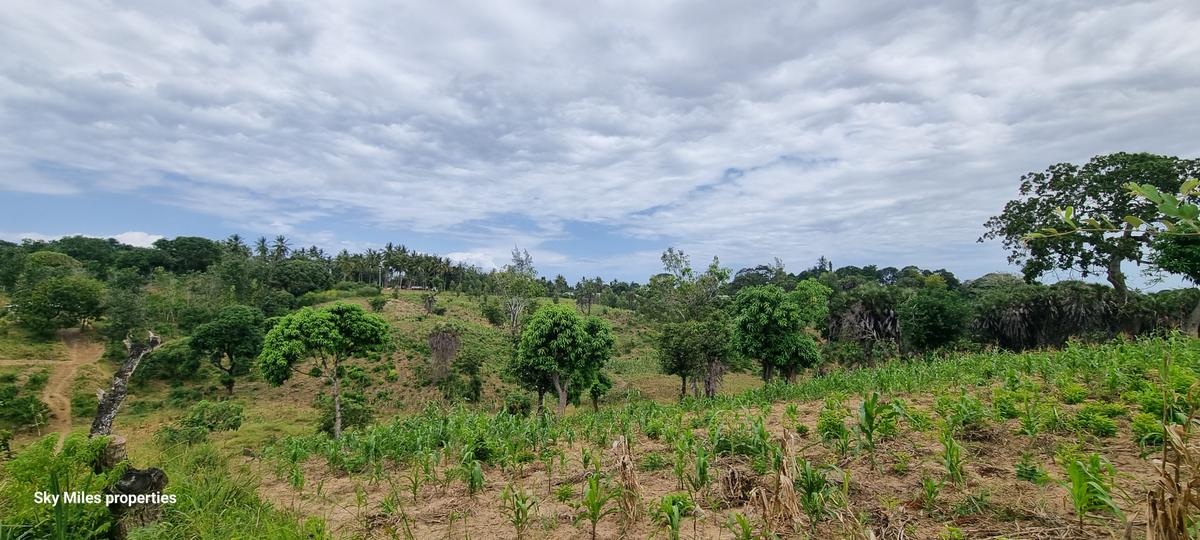 2 ac Land at Mtwapa - 8