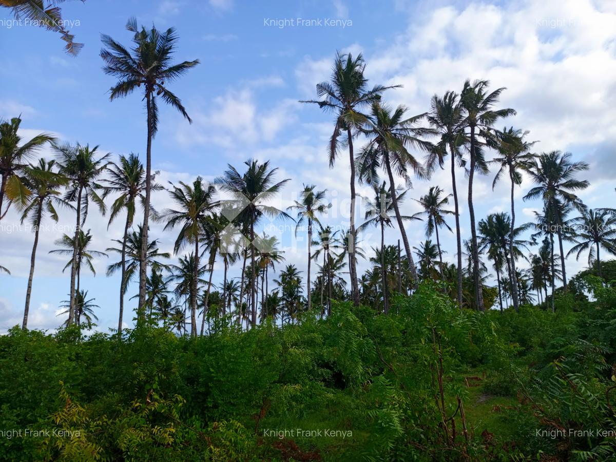 Land at Kikambala Beach - 4