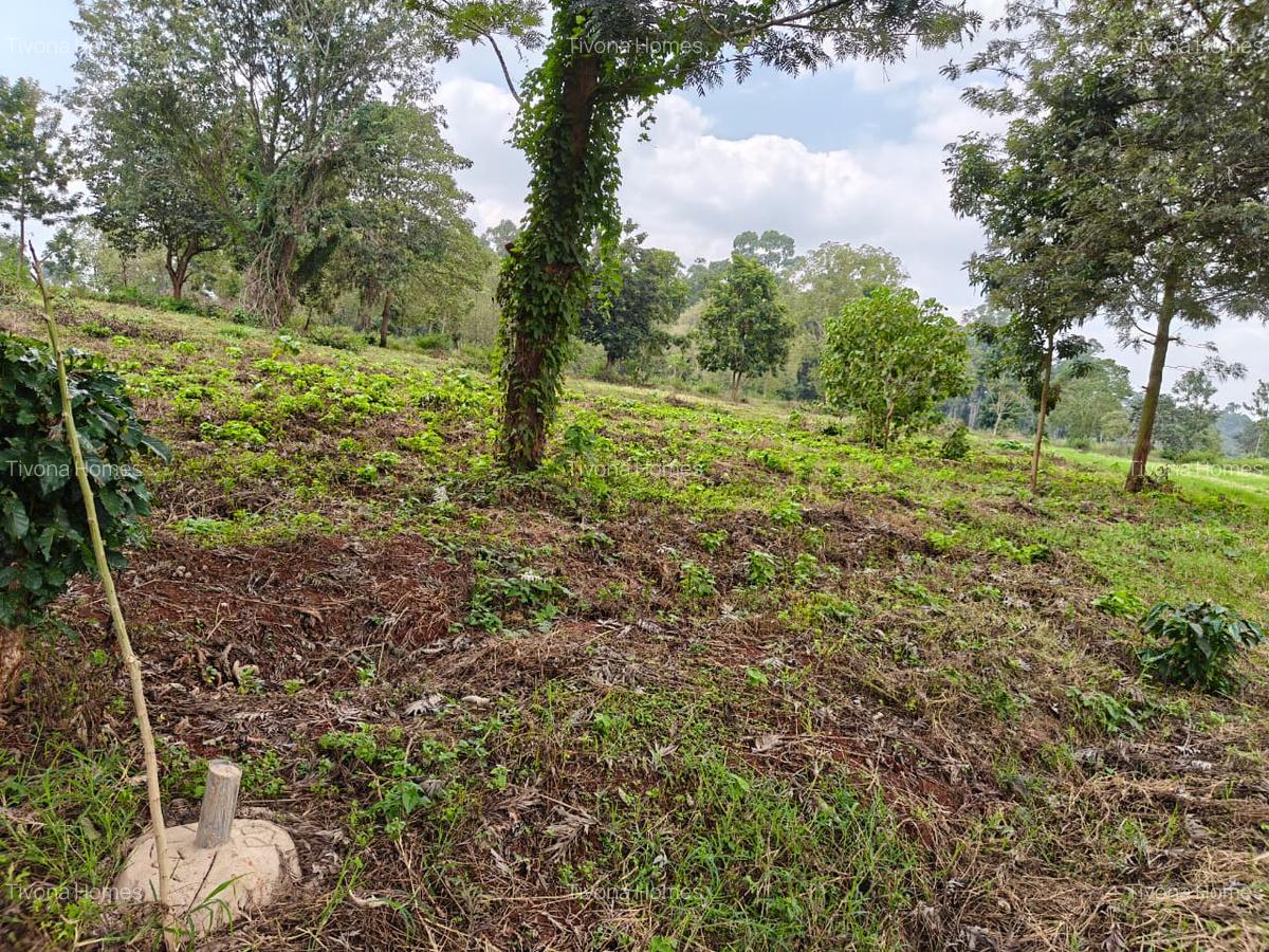 0.25 ac Commercial Land in Kiambu Road - 15