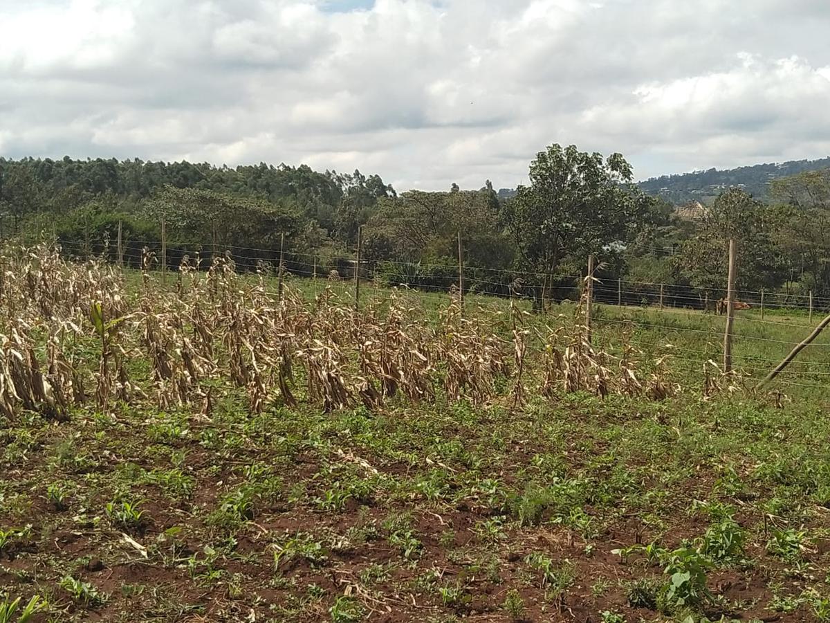 0.2 ha Residential Land in Ngong - 3