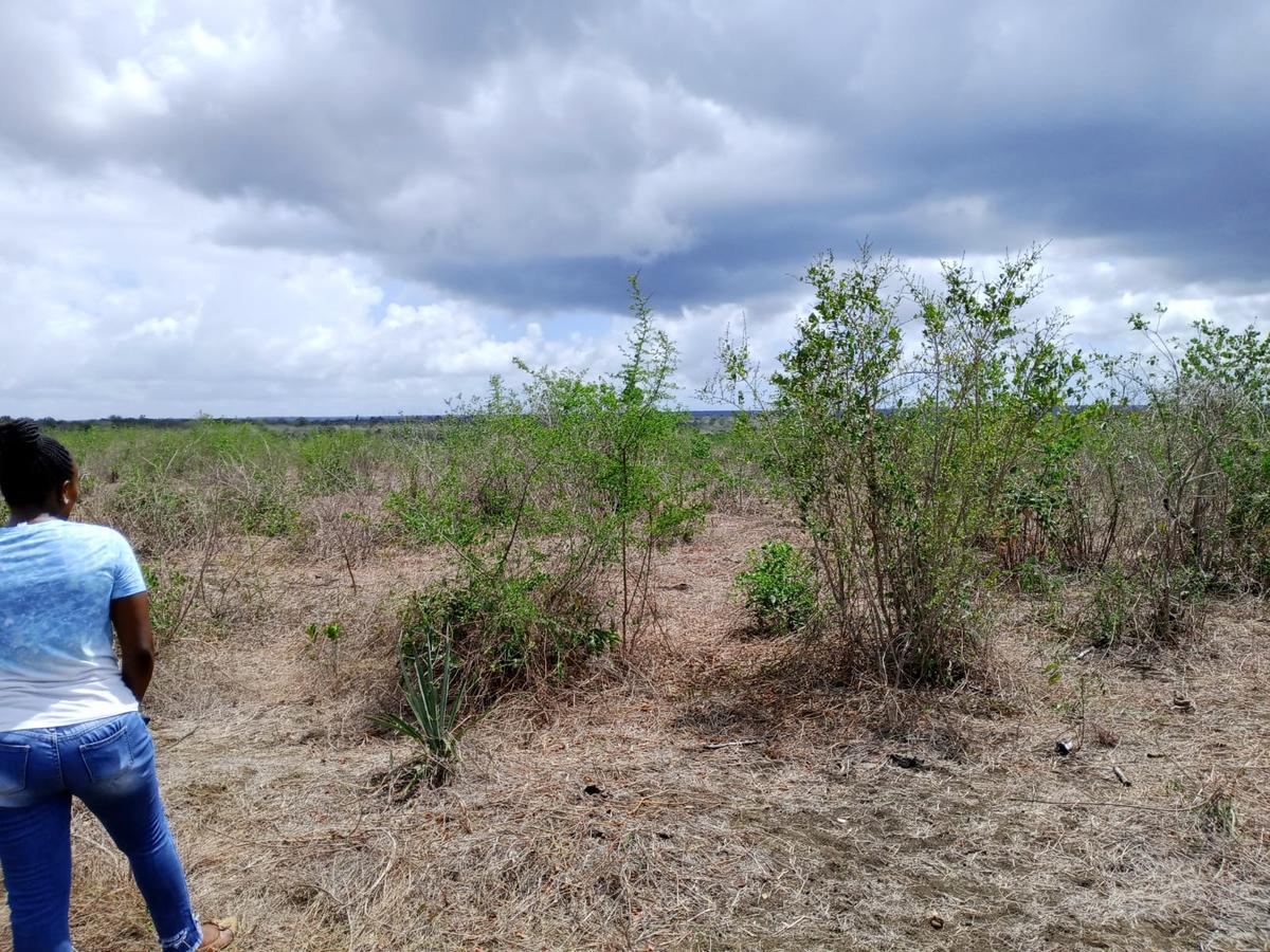 12 ha Land at Malindi -Lamu Highway - 10