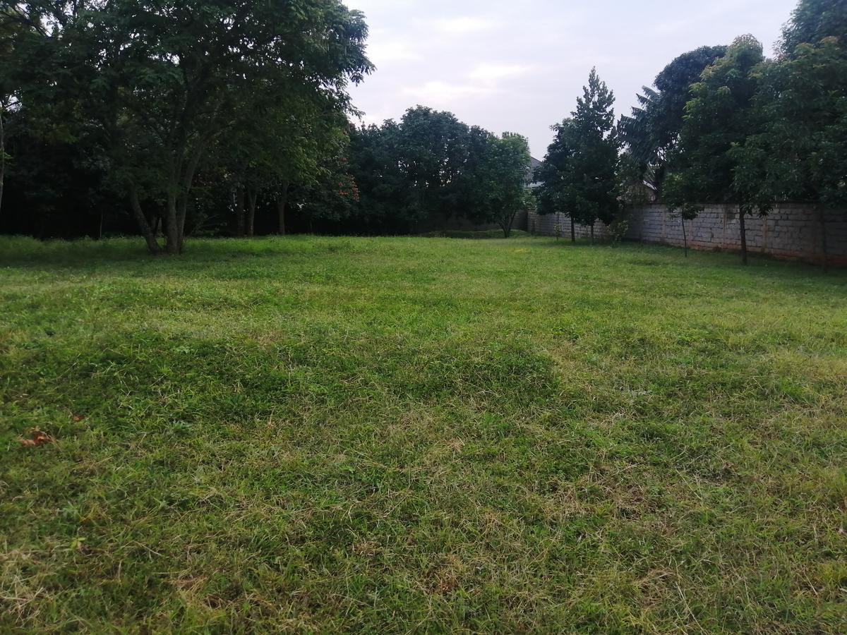 0.5 ac Residential Land in Runda