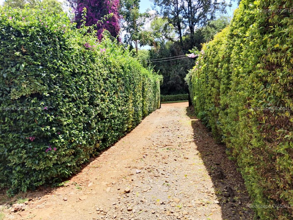 4 Bed House with En Suite in Kiambu Road - 8