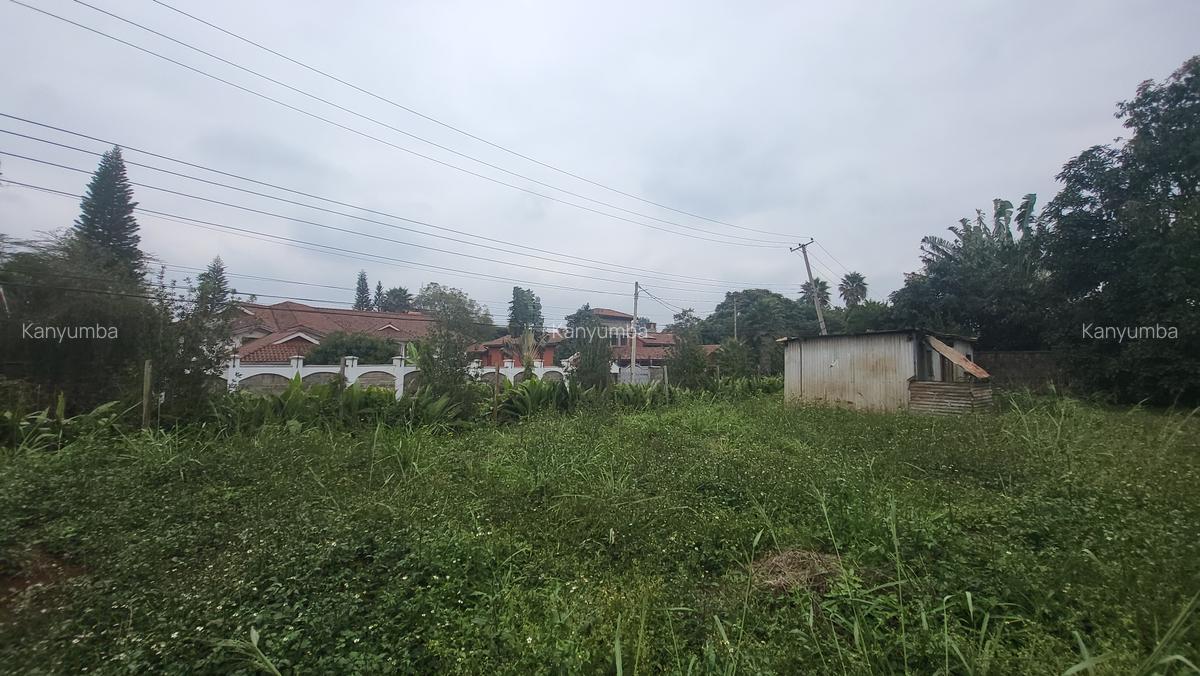 0.5 ac Land at Old Runda - 4