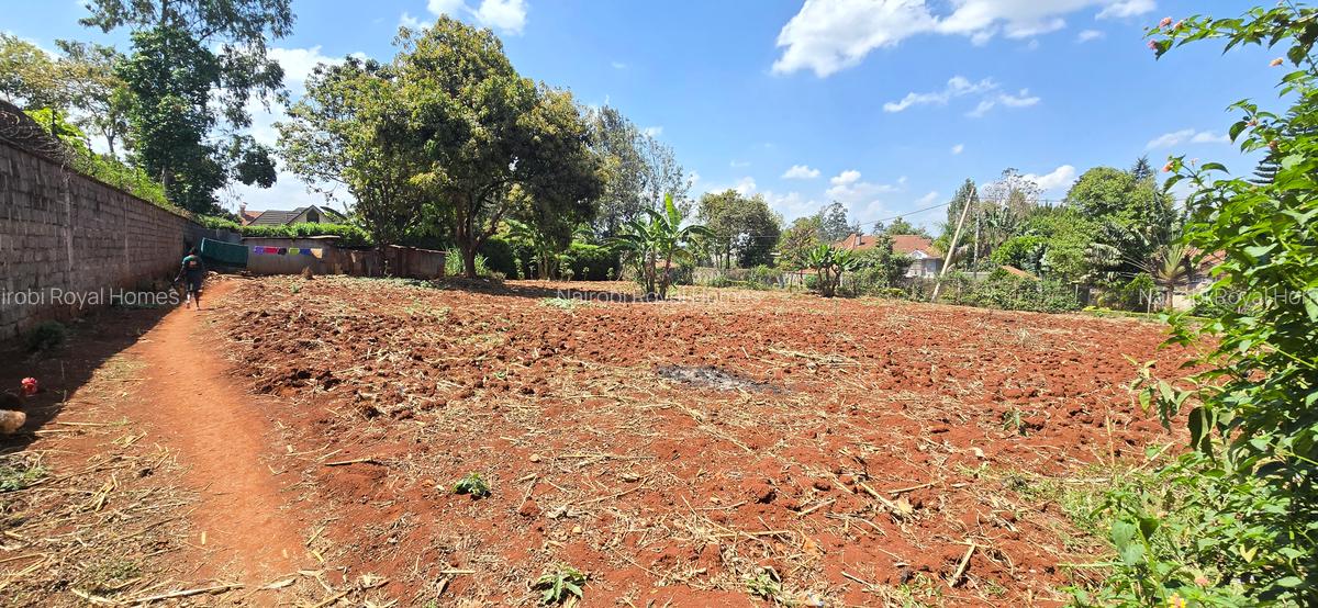 Residential Land at Runda Road - 17