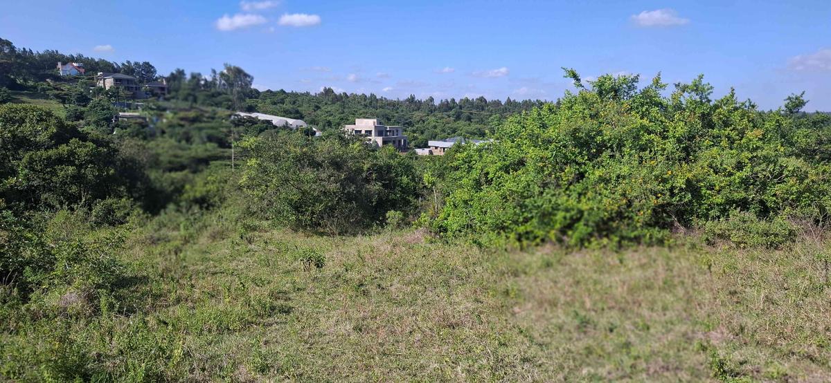 Land in Ngong - 10