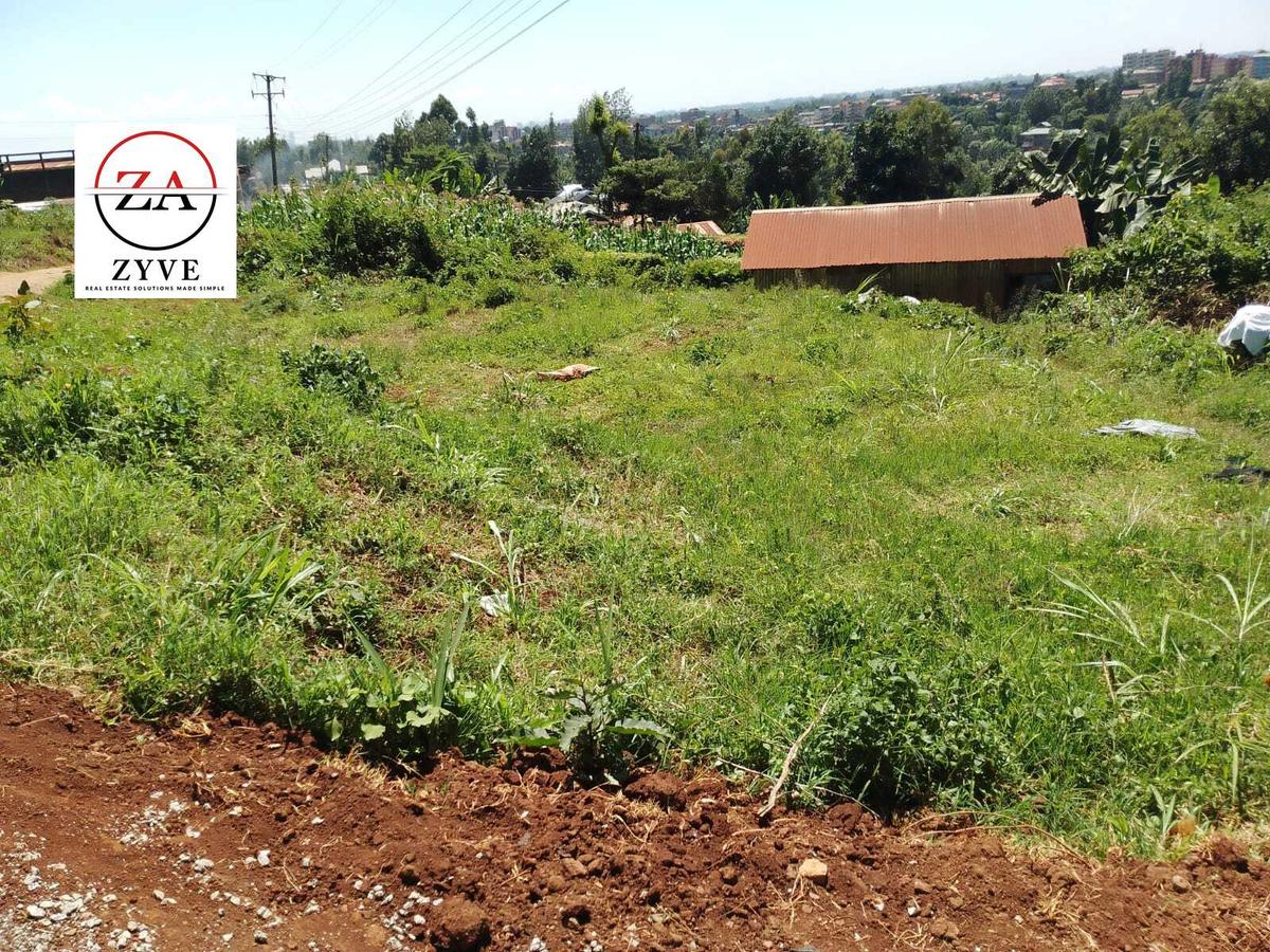 0.25 ac Land at Rwaka - 5