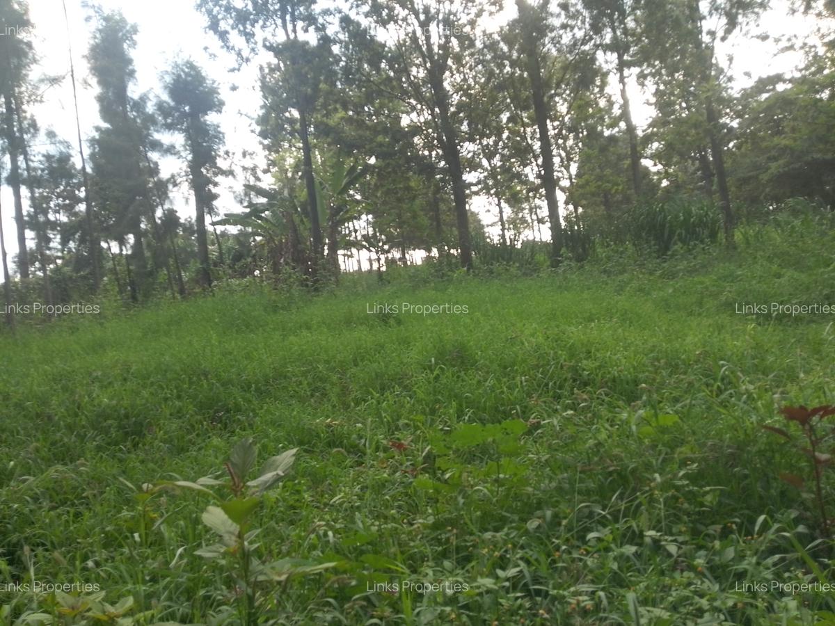 Land at Kibiko Ngong - 10