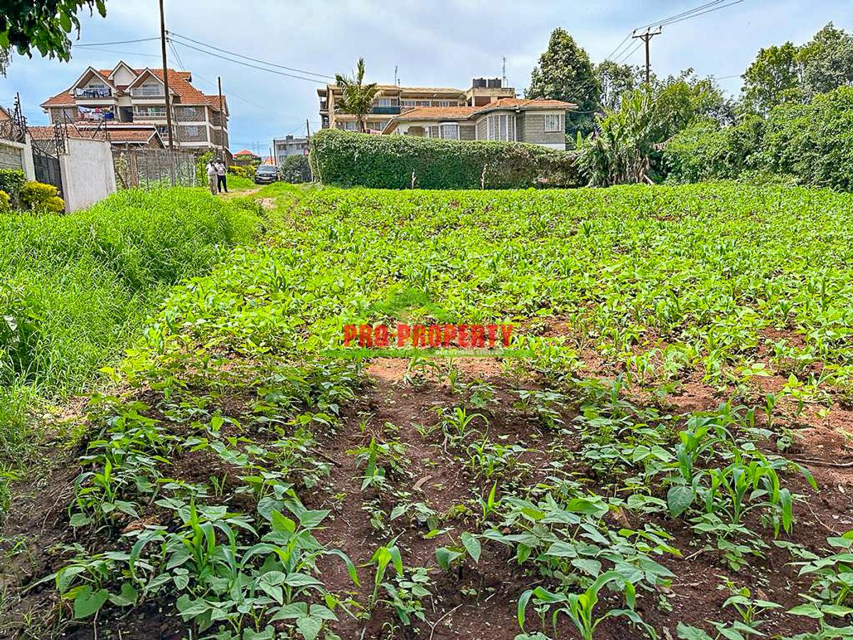 0.05 ha Commercial Land in Kikuyu Town - 6