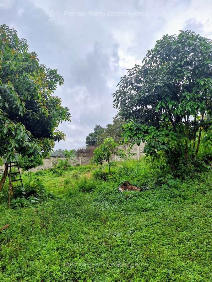 0.5 ac Residential Land at Runda - 11