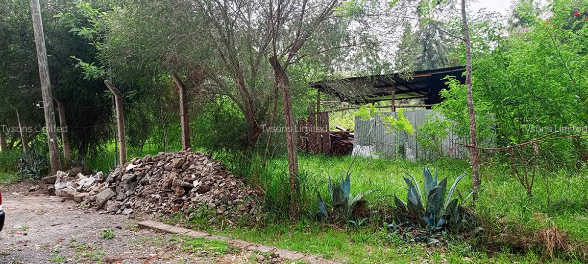 0.5 ac Residential Land in Thome - 1