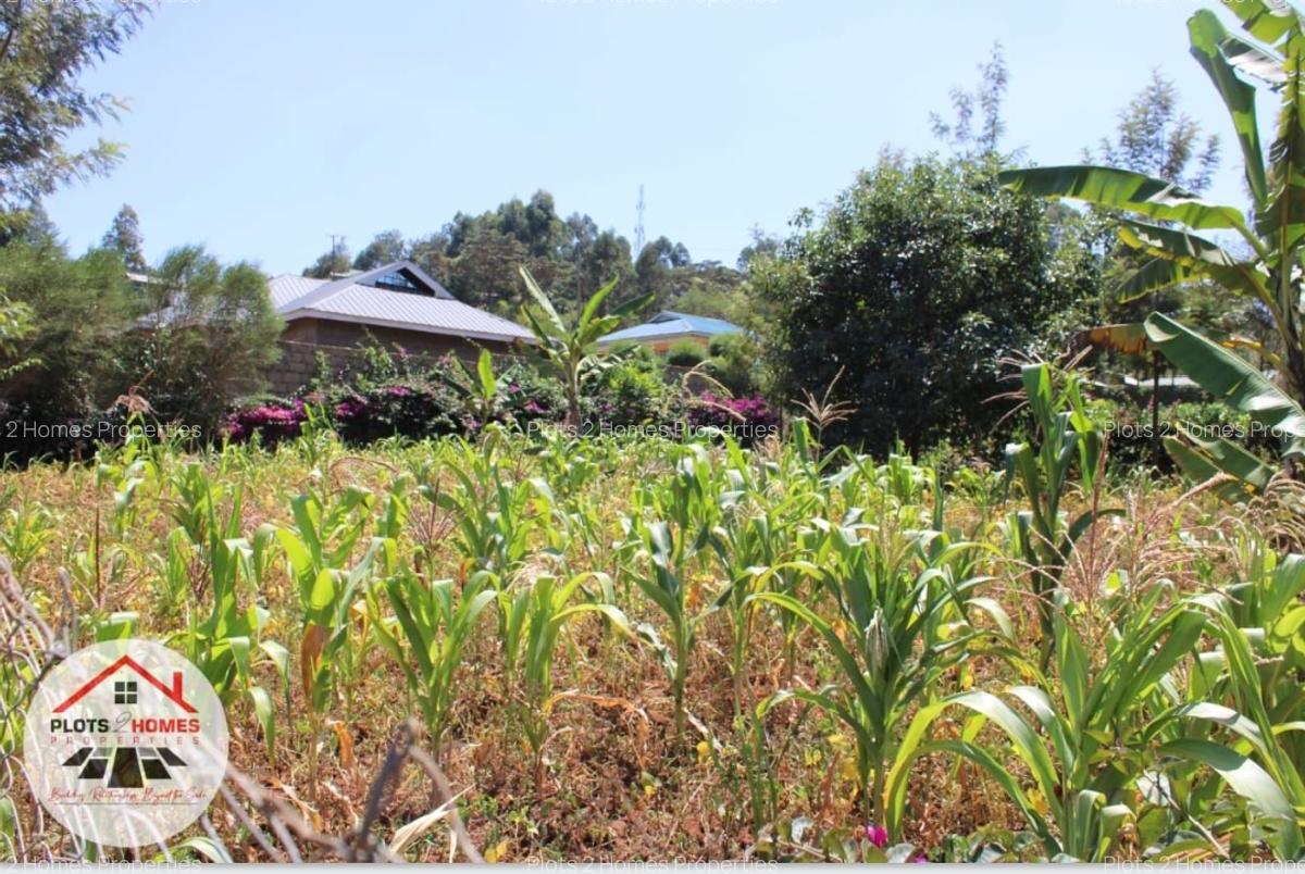 800 m² Residential Land at Kamuita Area - 1