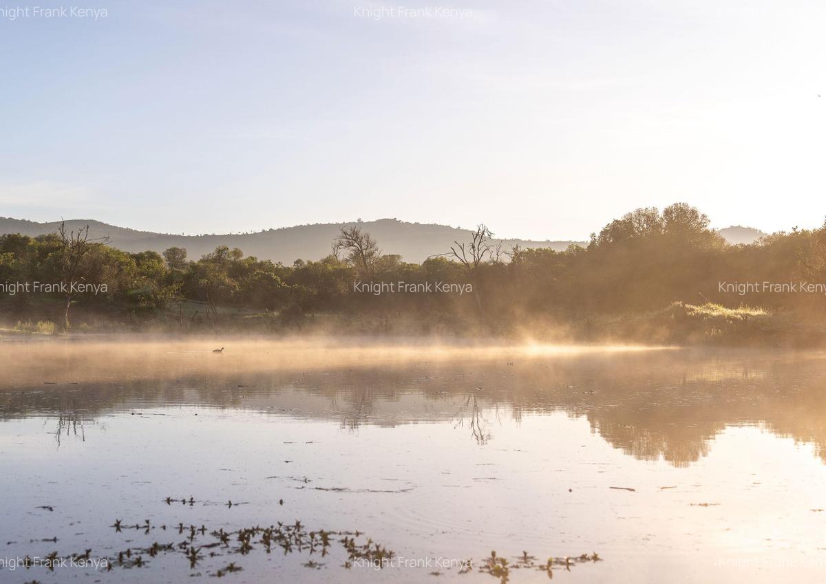 30.3 ac Land at Lolldaiga Valley - 4