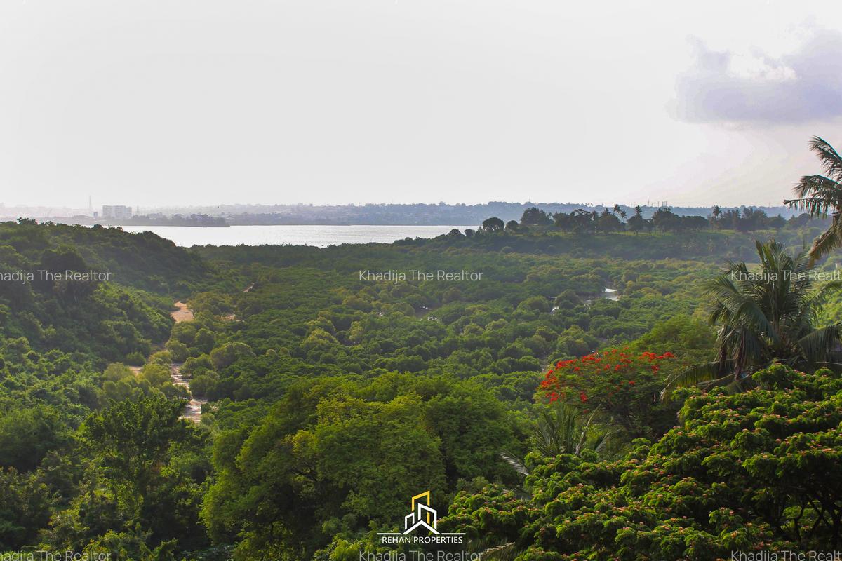 2 Bed Apartment with En Suite in Nyali Area - 2