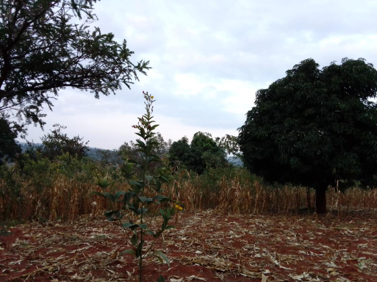 9 ac Land at Ithanga - 10