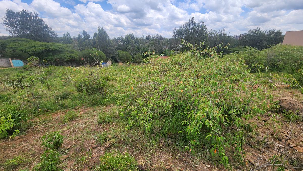 0.2 ha Commercial Land at Merisho Road - 3