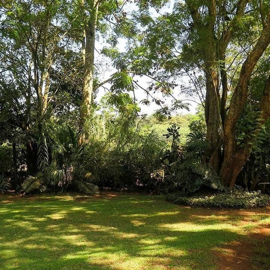 0.75 ac Land at Chalbi Drive - 3
