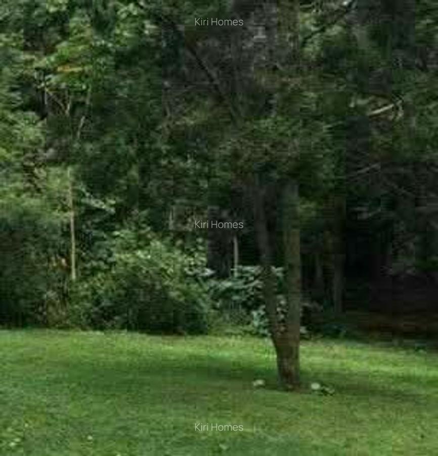 Land at Windy Ridge - 3