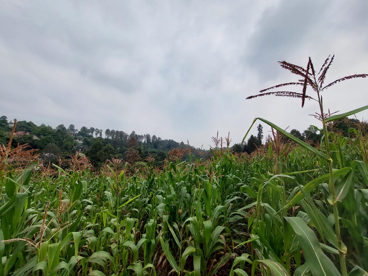 Residential Land at Kitisuru Ridge 44 - 13