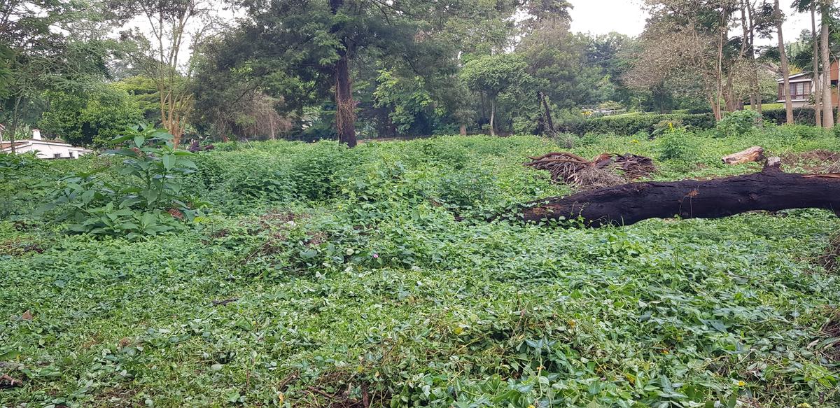 Residential Land at Shanzu Road - 2