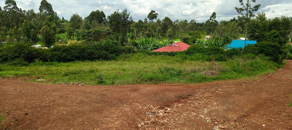 0.25 ac Land in Muchatha - 2