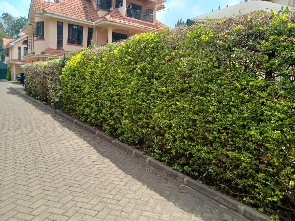 4 Bed House with En Suite in Lavington - 5